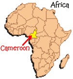 Hunting Cameroon.