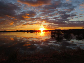 A beautiful sunset in the Zimbabwean Bush