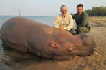 Father/Son Hippo hunt